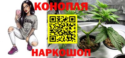 PSILOCYBIN Будённовск